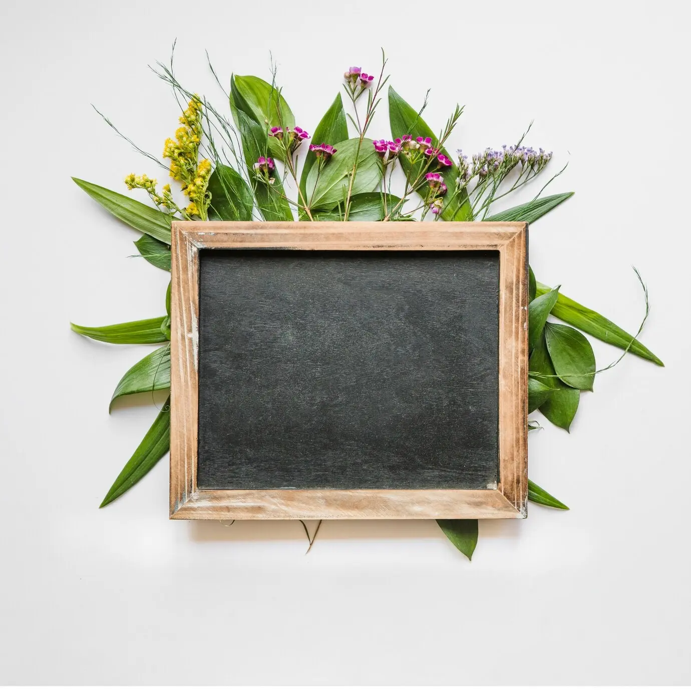 Schwarze Tafel auf Blättern und Blumen